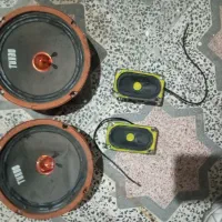 میدرنجو توییتر|صوتی و تصویری|رشت, گلسار|دیوار