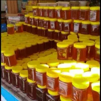 اعسل|خوردنی و آشامیدنی|سبزوار, عظیمیان|دیوار