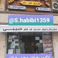 بنکداری و پخش تخم مرغ در گیلان