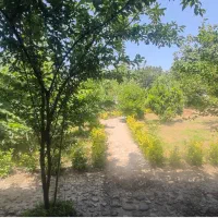 ویلا باغ سند تک برگ مجهز گیلان فومن جاده گشت|فروش خانه و ویلا|فومن, |دیوار