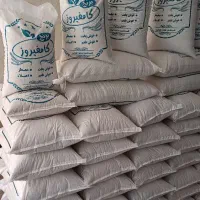 برنج کامفیروز لاشه  برنج کامفیروزی|خوردنی و آشامیدنی|یزد, |دیوار