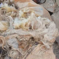 پشم|رختخواب، بالش، پتو|مسجد سلیمان, |دیوار