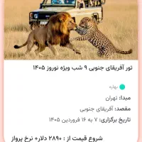 تور آفریقای جنوبی