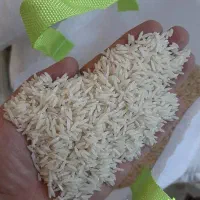 برنج شیرودی سورتینگ شده//محصول خودمون