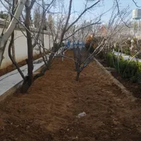 پاکنی باغها باغچها و محوطه با دستگاه 12اسب دیزل|خدمات باغبانی و درختکاری|شیراز, سعیدیه جنوبی|دیوار