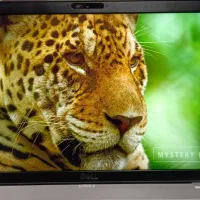 لپ‌تاپ گیمینگ Dell نسل ۱۰ اقساطی|رایانه همراه|تبریز, |دیوار