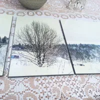 تابلو منظره برفی|تابلو، نقاشی، عکس|پردیس, فاز ۱۱|دیوار