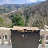 حراج|حراج|لاهیجان, شیخ زاهد|دیوار