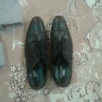 کفش چرمی سوسماری