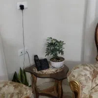 مبل سلطنتی نه نفره|مبلمان خانگی و میز عسلی|شاهرود, |دیوار