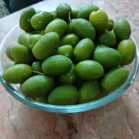 زیتون شور دزفول|خوردنی و آشامیدنی|شیراز, گلشن|دیوار