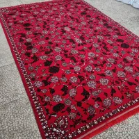 فرش قرمز|فرش|رشت, معلولین|دیوار