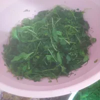 سبزی خورشتی