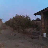 باغ 1700 متری . زمین ۶۰۰ متری قهجاورستان|فروش زمین و ملک کلنگی|اصفهان, قهجاورستان|دیوار