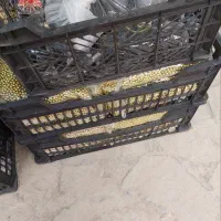 خرجکار منجوق ملیله مروارید سنگ جواهردوزی|لوازم خیاطی و بافتنی|تهران, بهمن یار|دیوار