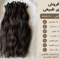 موی طبیعی ۵۰ سانتی ۸۰ شاخه رنگ طبیعی