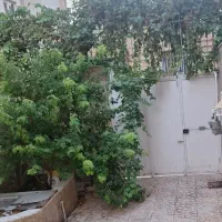 320-متر-زمین-نزدیک-حرم-پروانه-ساخت-قابل-ارتقاء