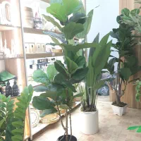 انواع درختچه های مصنوعی|گل مصنوعی|خورموج, |دیوار