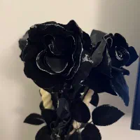 گل و گلدان مشکی|گل مصنوعی|تهران, کوی بیمه|دیوار