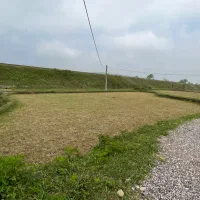 ۴۸۳ زمین بیجاری و کشاورزی