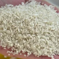 محصول مرغوب و یکدست کشاورز|خوردنی و آشامیدنی|قوچان, |دیوار