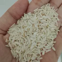 برنج هاشمی الموت