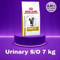 غذای حیوانات خانگی سگو گربه|لوازم جانبی حیوانات|مشهد, احمدآباد|دیوار