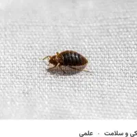 سم پاشی سپهرایمن