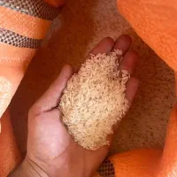 برنج هاشمی درجه یک