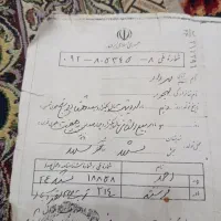 گم شده ها