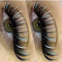 خدمات اکستنشن مژه و آموزش