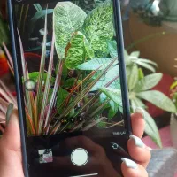 گوشی ۱۵پرومکس فیک|موبایل|تهران, آهنگ|دیوار