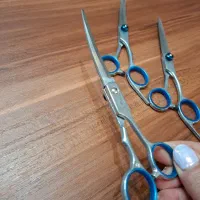 قیچی اصلاح پت