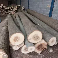 خرید انواع چوب ضایعاتی وغیره
