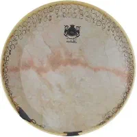 دف شهمیری (ویژه) (گالری تخصصی کوبه ای)