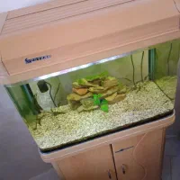 آکواریوم شرکتی ماهیران بهمراه میز شرکتی|ماهی|تبریز, |دیوار