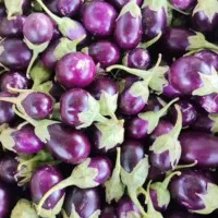 بادمجان ریز ترشی