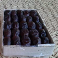 خرما زاهدی و مضافتی درجه یک