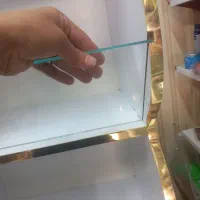 استند