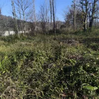 فروش-زمین-گمل-400-متر-تمام-مسکونی