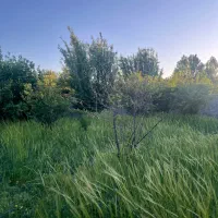 200-متر-زمین-داخل-بافت