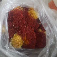 زعفران قاین
