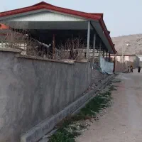 سبک سازی صحراگرد