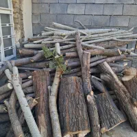 فروش چوب بادام بید وسفیدار ضایعات ونجاری|خدمات باغبانی و درختکاری|همایجان, |دیوار