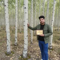 صنوبر پرشتاب اصفهان، مقاوم به خشکی و شرایط سخت