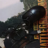 موس کامپیوتر|قطعات و لوازم جانبی رایانه|تاکستان, |دیوار