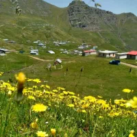 باس|حیوانات مزرعه|باسمنج, |دیوار