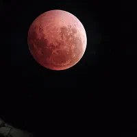 تلسکوپ بازتابی دابسونی 8 اینچ (200میلی متر)|کلکسیون و سرگرمی|سیرجان, |دیوار