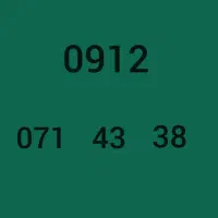9120714338