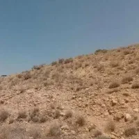 زمین اکازیون ۴۵۰ متری تفکیک شده